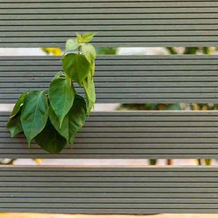 Mani Harmony Stone House Vila *