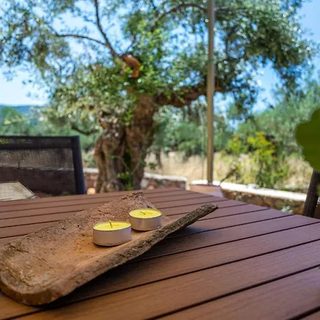 Mani Harmony Stone House Villa