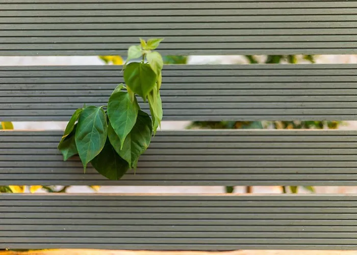 Mani Harmony Stone House Villa *